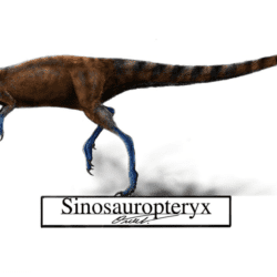 1739_sinosauropteryx_oscar_valdes