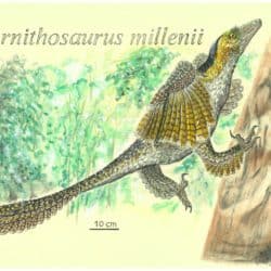 1745_sinornithosaurus_pedro_salas