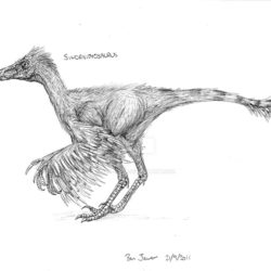1746_sinornithosaurus_ben_jewer