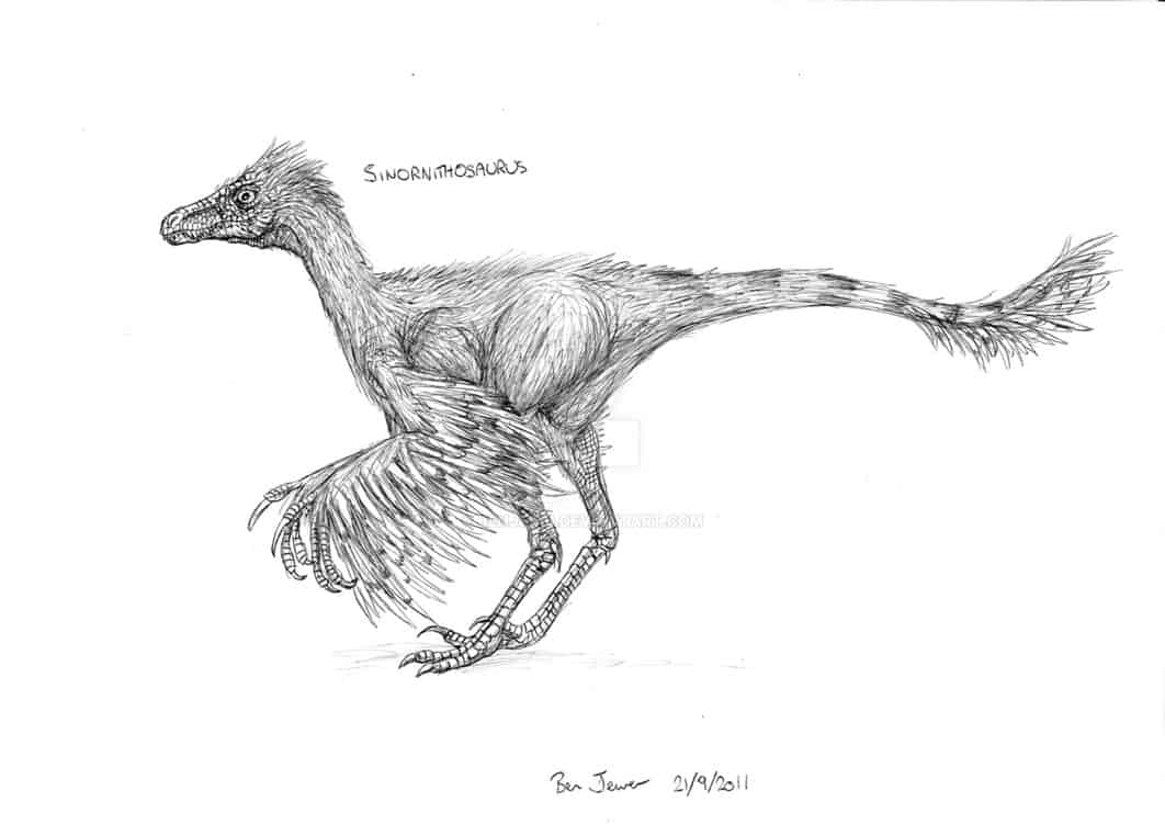 Sinornithosaurus by Ben Jewer