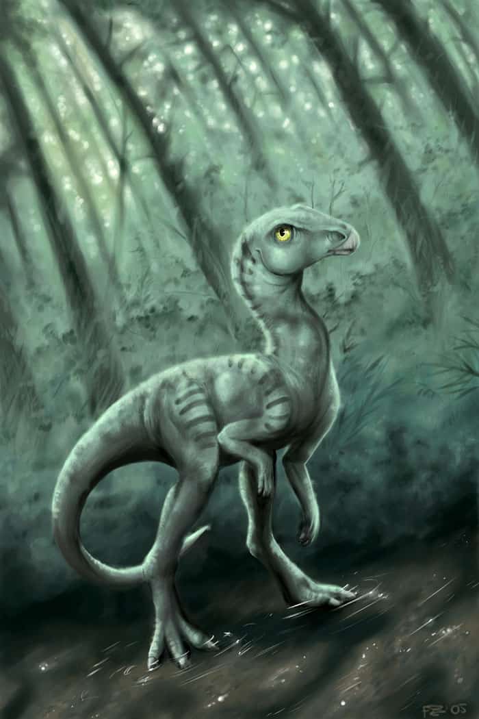 Leaellynasaura by Apsaravis