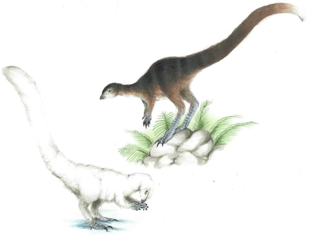 Leaellynasaura by Kirby