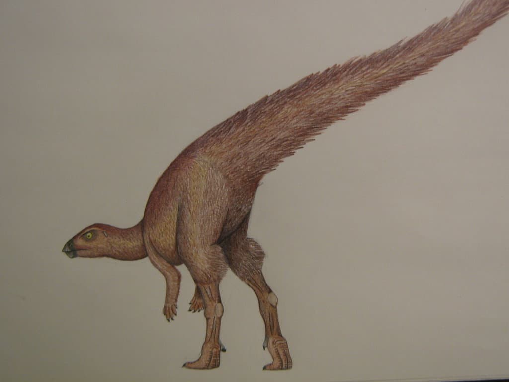 Leaellynasaura by Fredrick Alexander