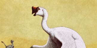 Citipati Apsaravis