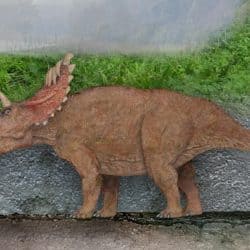 1773_kosmoceratops_sameerprehistorica