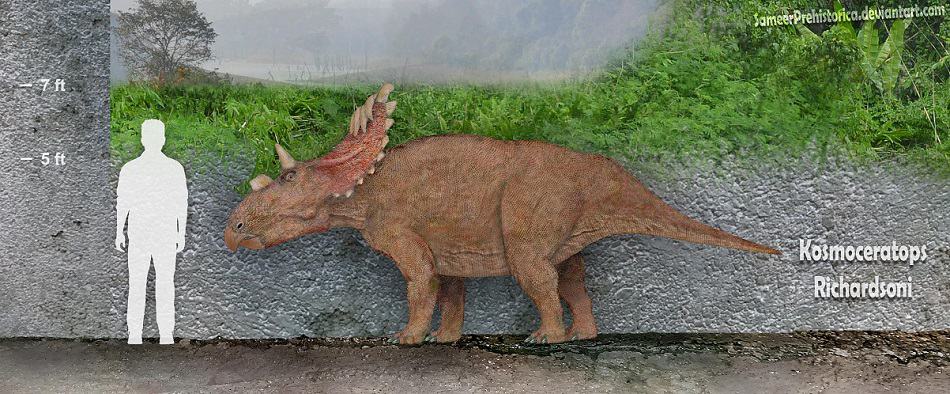 Kosmoceratops by SameerPrehistorica