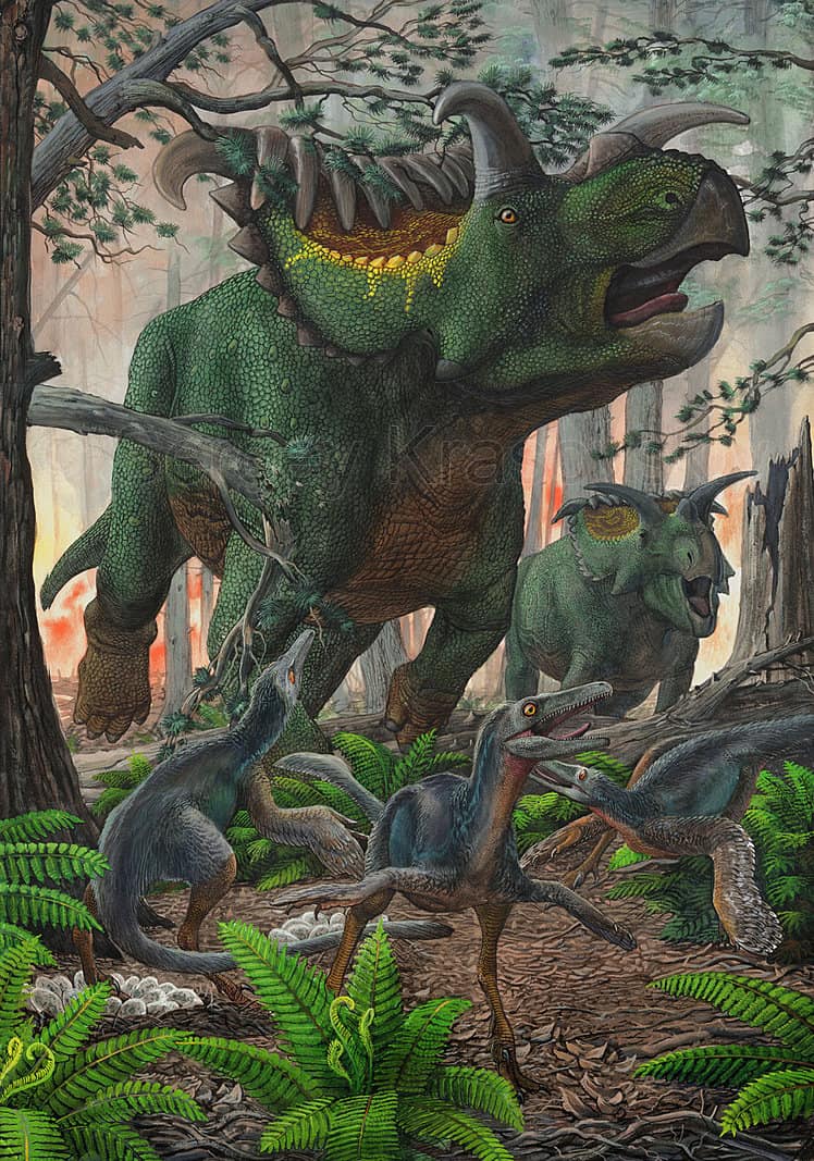 Kosmoceratops by Sergey Krasovskiy