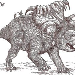 1777_kosmoceratops_hodarinundu