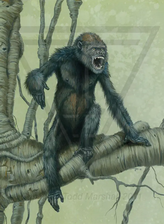 Dryopithecus Pictures and Facts