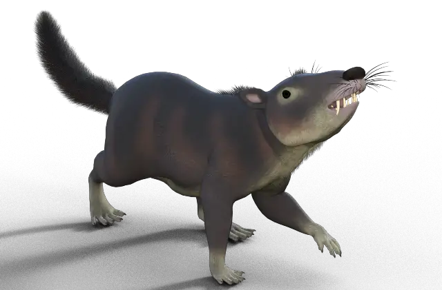 Saber Teeth Squirrel | Dinosaurs